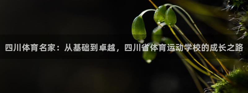 米兰体育官网下载招商：四川体育名家：从基础到卓越，四