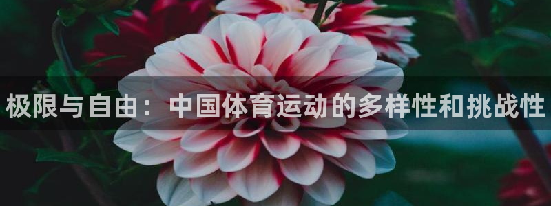 米兰体育官网下载招商电话号码是多少：极限与自由：中国体育运动