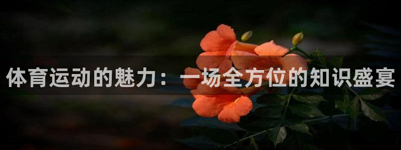 米兰体育官网下载招商电话号码是多少：体育运动的魅力：