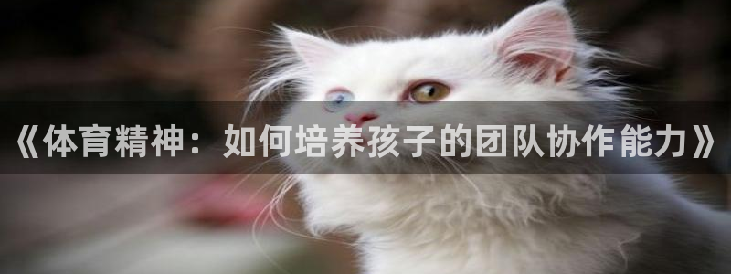 米兰体育官方正版app新能源：《体育精神：如何培养孩子的团队