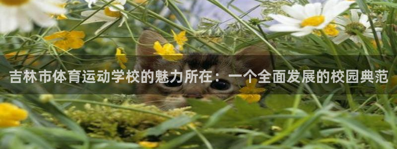 米兰体育官网下载：吉林市体育运动学校的魅力所在：一个