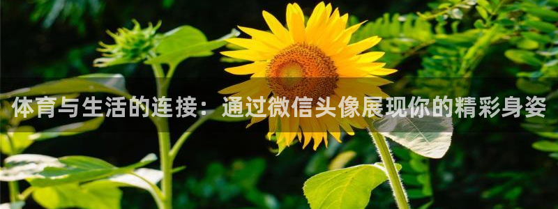 米兰体育官网下载注册：体育与生活的连接：通过微信头像展现你的