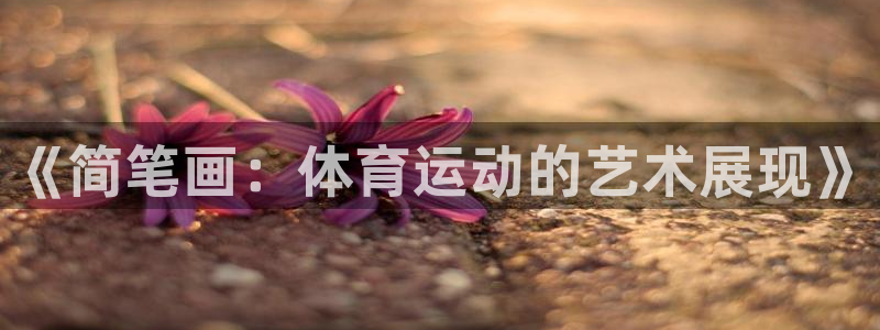 米兰体育官方正版app娱乐首页网站大全：《简笔画：体