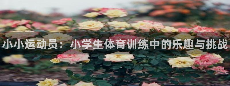 米兰体育官网下载招商电话号码查询是多少：小小运动员：