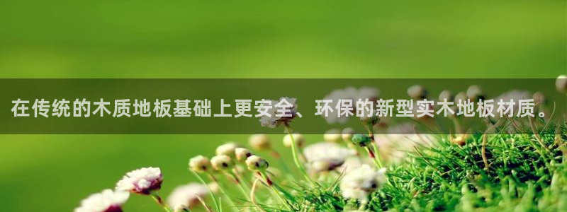 米兰体育官网下载官方客服电话：在传统的木质地板基础上