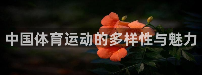 米兰体育官网下载：中国体育运动的多样性与魅力