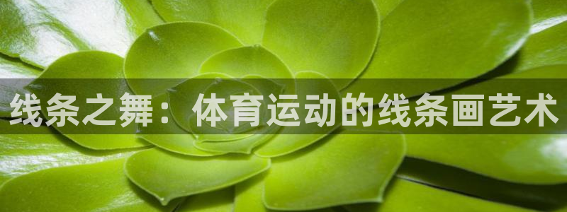 米兰体育官方正版app五金厂：线条之舞：体育运动的线条画艺术