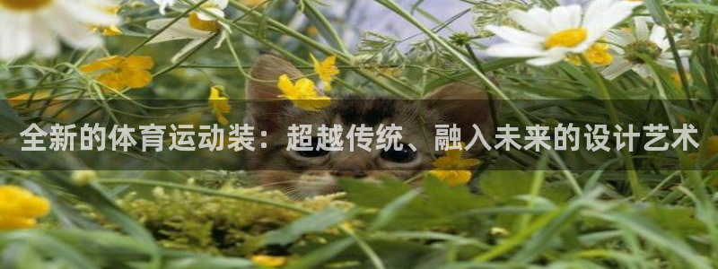 米兰体育官方正版app集团：全新的体育运动装：超越传