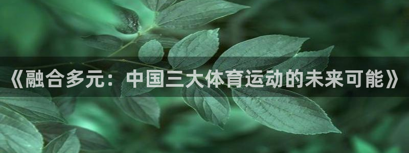 海南米兰体育官网下载发展怎么样：《融合多元：中国三大体育运动