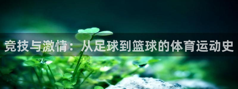 米兰体育官方正版app官方：竞技与激情：从足球到篮球