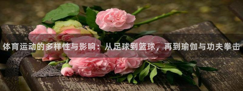 米兰体育官方正版app集团E.ON：体育运动的多样性与影响：
