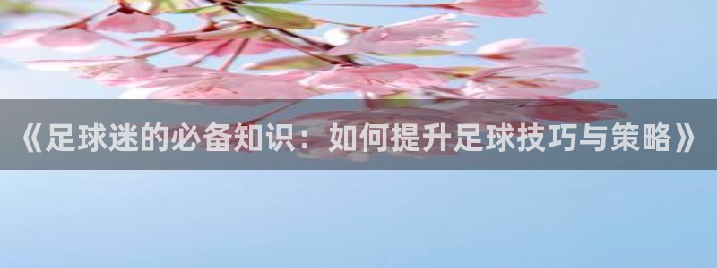 米兰体育官方正版app娱乐下载：《足球迷的必备知识：