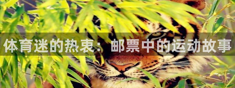 注册米兰体育官方正版app：体育迷的热衷：邮票中的运
